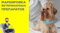 29 июня 2026 г. в 11:00 запланировано проведение обучающего семинара по маркировке ветеринарных препаратов и кормов для животных